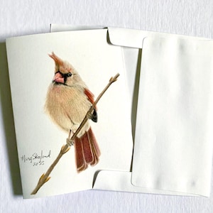 Dessin original au crayon de couleur sur une carte d'art technique mixte, d'une femme cardinal, décoration murale de 5 x 7 pouces et carte de voeux