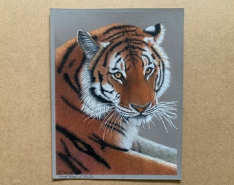 Original Tiger portrait, pastel pencil on Pastelmat, unframed, one of a kind