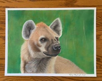 斑点のあるハイエナのオリジナル色鉛筆画 - 野生動物アート - 肖像