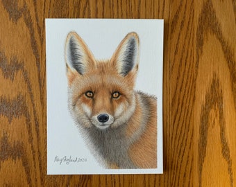 Original Red Fox portrait, coloured pencil drawing, 6x8 inch wall decor
