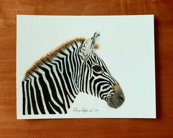 Original Zebra, 6x8 inch coloured pencil drawing, wall decor