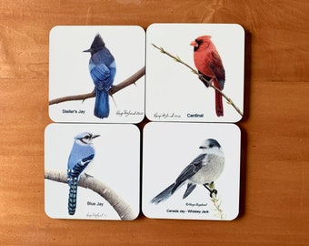 Set of 4 drink coasters from my original coloured pencil art, 3 North American Jays and a Cardinal