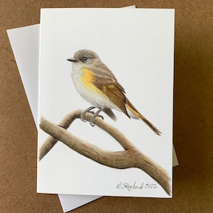 Rougequeue d'Amérique, carte d'art originale au crayon de couleur, art d'oiseau, décoration murale, cadeau d'art