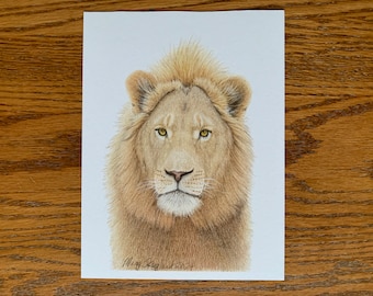 Original Male Lion portrait, coloured pencil drawing, 6x8 inch wall decor