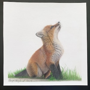 Dessin au crayon de couleur d'un petit renard roux, décoration murale carrée de 9 x 9 pouces
