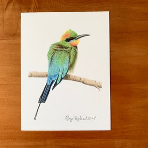 Original coloured pencil drawing of a Rainbow Bee-Eater, 6x8 inch wall decor image 1