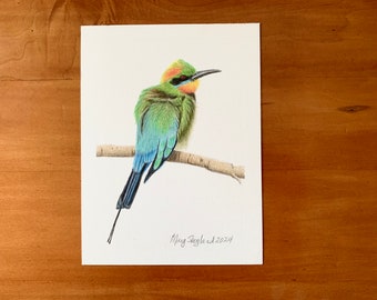 Original coloured pencil drawing of a Rainbow Bee-Eater, 6x8 inch wall decor