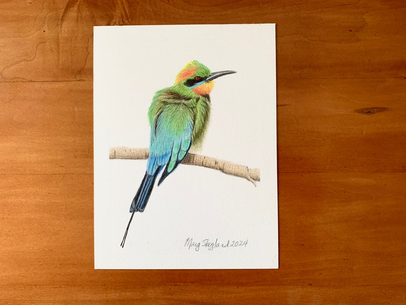 Original coloured pencil drawing of a Rainbow Bee-Eater, 6x8 inch wall decor image 1