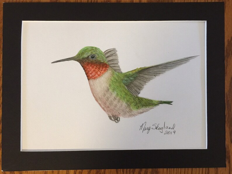 Coloured Pencil Wall Art 9x12 Original Art Wildlife Lover Gift Ruby Throated Humming Bird Wildlife Art Art by Marg Skogland