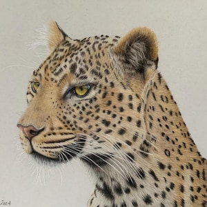 Original African Leopard coloured pencil drawing on drafting film, 9x12 inch wall decor