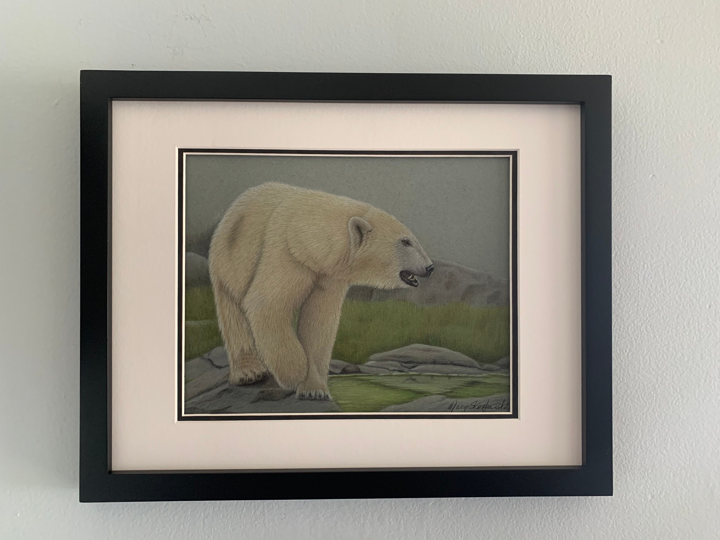 Polar Bear in Summer Original Coloured Pencil Wildlife Art - Etsy Canada