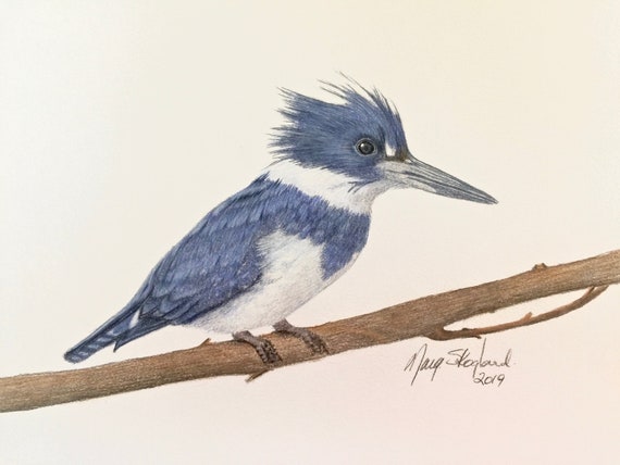 Coloured Pencil Wall Art 9x12 Original Art Wildlife Lover Gift Ruby Throated Humming Bird Wildlife Art Art by Marg Skogland