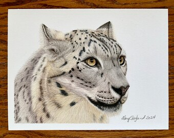 ユキヒョウの肖像画｜オリジナル色鉛筆画、野生動物アート - Etsy 日本