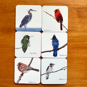 North American Bird coasters of my original coloured pencil bird art, choose from 6 different birds