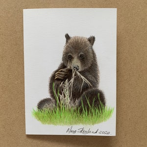 LIQUIDATION ! Dessin original au crayon de couleur Grizzly Bear Cub sur une carte d'art vierge de 5 x 7 pouces à l'intérieur et comprend une enveloppe