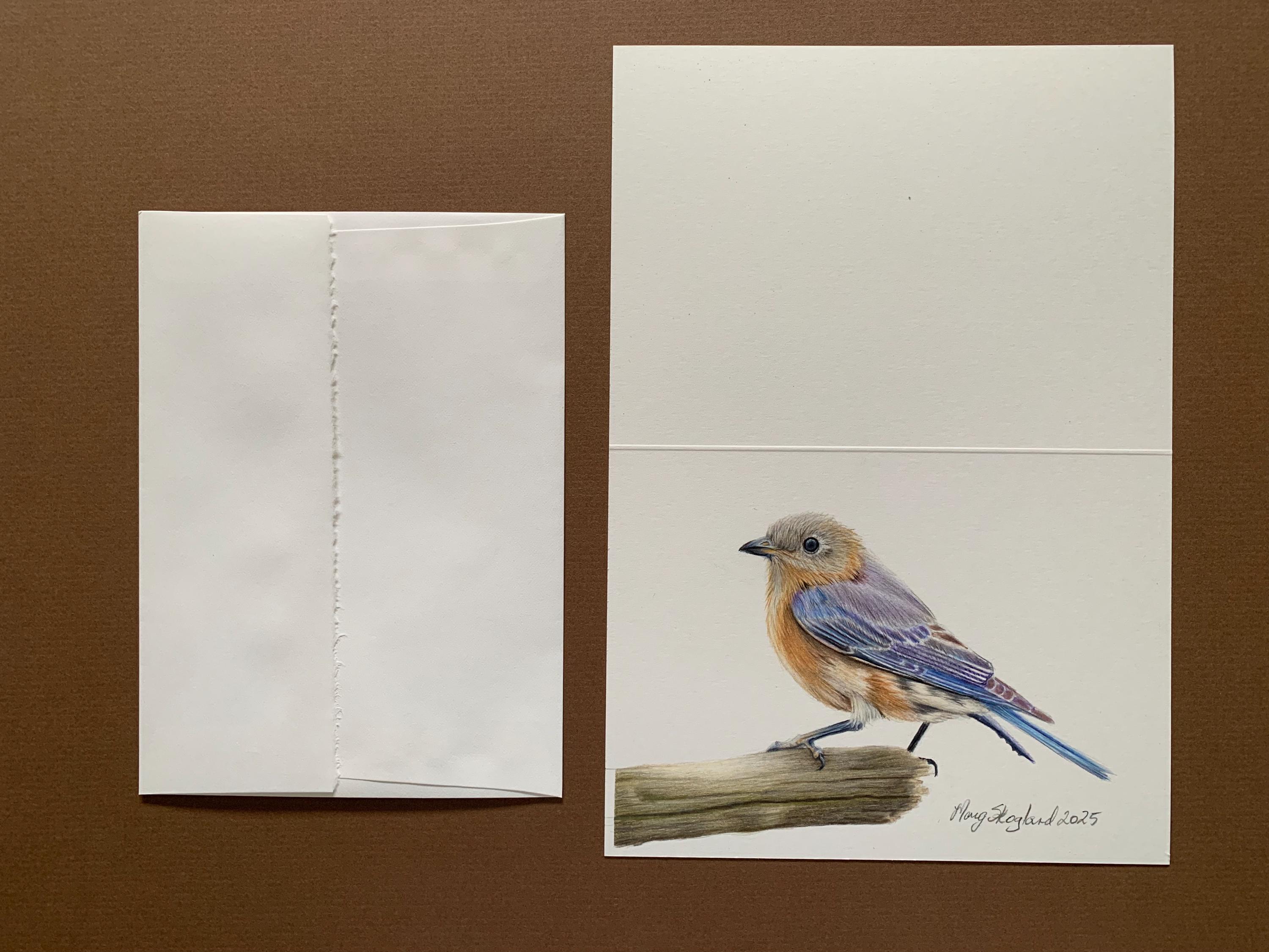 Handmade Eastern Bluebird Drawing: 5x7 Art Card, Wall Decor - Etsy