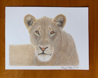 Original Lioness portrait, coloured pencil drawing, 6x8 inch wall decor