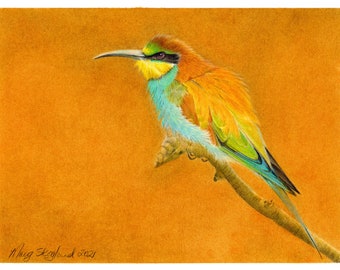 CLEARANCE! European Bee-Eater original coloured pencil art, 9x12 inch wall decor