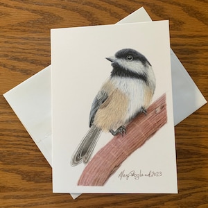 Mésange à tête noire, dessin original au crayon de couleur sur une carte d'art de 5 x 7 pouces, blanc à l'intérieur