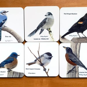 North American Bird Art drink coasters, choose a single coaster, a set of 4, 6 or mix and match