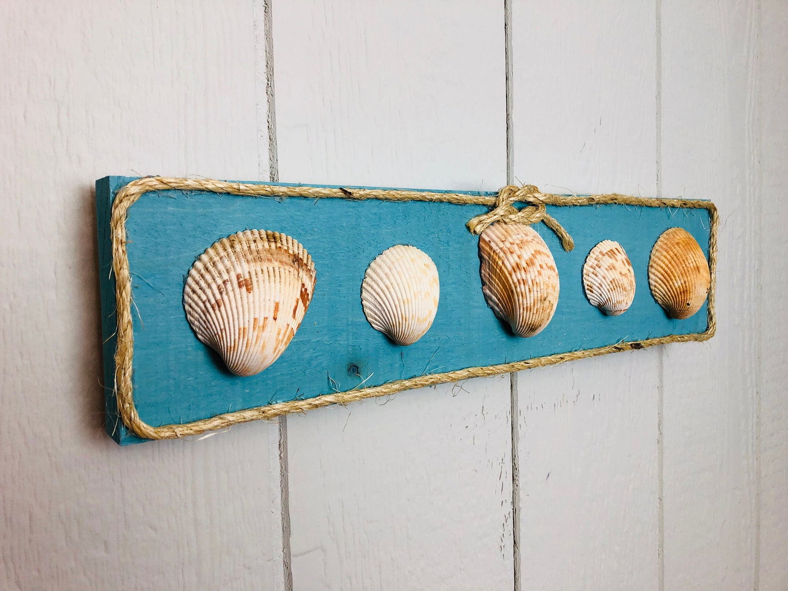 Five Seashell Wall Decor Beach decor wall art seashell art Etsy