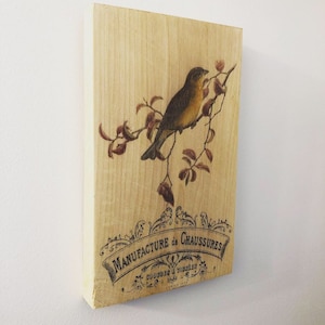 Vintage bird art and French lettering wall art print on wood