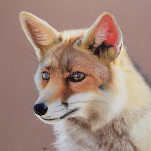Fox Limited Edition Fine Art Print (Unframed)