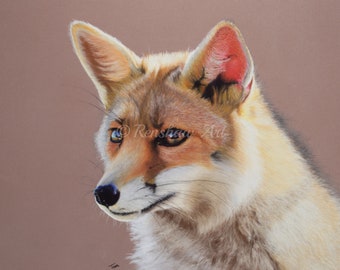 Fox Limited Edition Fine Art Print (Non encadré)