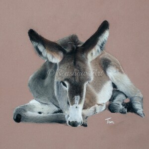 Little Donkey Limited Edition Fine Art Print (Unframed)