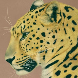Leopard Limited Edition Fine Art Prints
