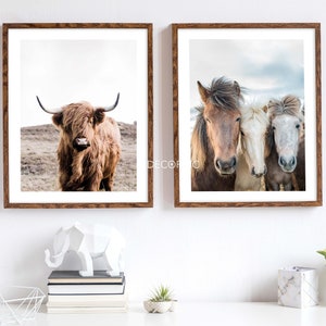Set of 2 Buffalo print,highland cow print,horse print,bull print,cattle print,highland cow wall art, Digital Download,Large Wall Art Print