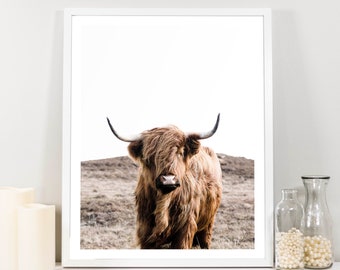 Highland Cow Large Wall Art,Buffalo print, cattle print,Farmhouse Photography,Digital Download,Printable Farmhouse Nature Prints