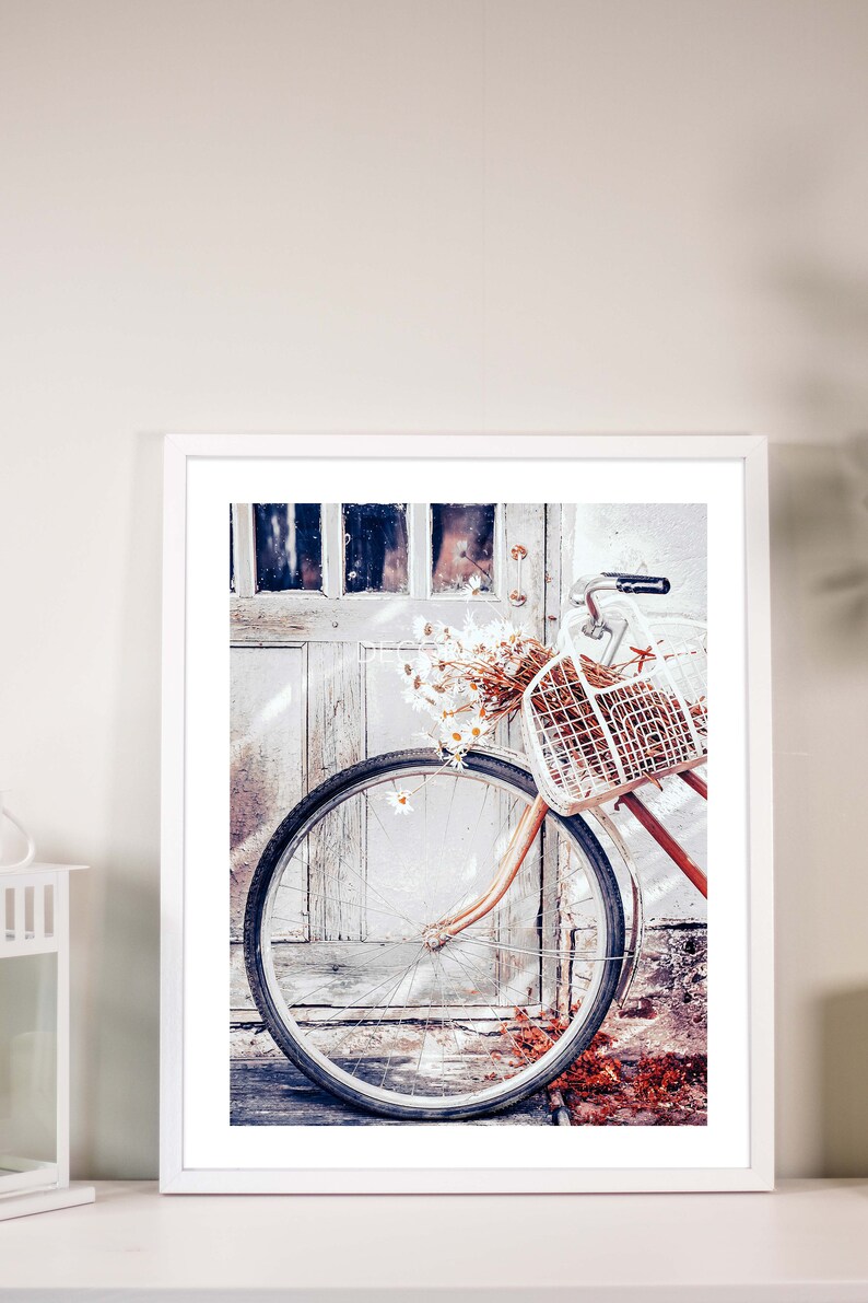 May include: A white bicycle with a wicker basket filled with white flowers is parked in front of a weathered wooden door. The bicycle wheel is in focus, and the door is out of focus.