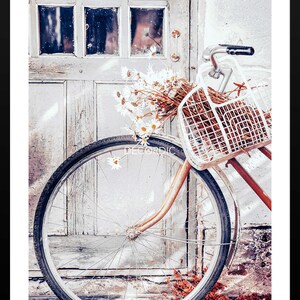 May include: A white bicycle with a wicker basket filled with white daisies is parked in front of a weathered wooden door. The bicycle has a large front wheel and a brown handlebar.