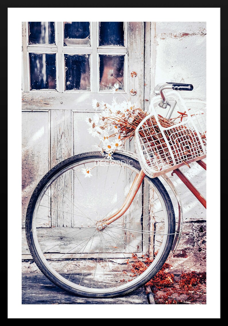 May include: A white bicycle with a wicker basket filled with white daisies is parked in front of a weathered wooden door. The bicycle has a large front wheel and a brown handlebar.