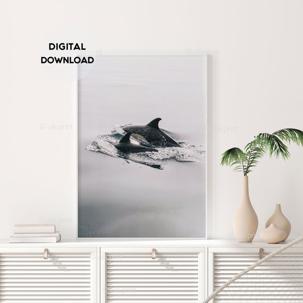 Dolphins Print, Baby Dolphin Art Print, Animal Photography, Animal Print, Black and White, Minimalist art, Nursery Wall Art, Digital Print