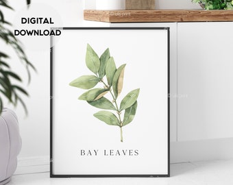 Lorbeerblätter Druck, Kräuter-Druck, Lorbeerblätter Aquarell Illustration, botanische Wandkunst, minimalistisch grün, Küche Poster, Printable Küche