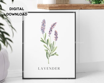 Kräuter-Print, Druck Lavendel, Lavendel Aquarell Illustration, botanische Wandkunst, minimalistisch, grünes Blatt, Küche Poster, Digital Download