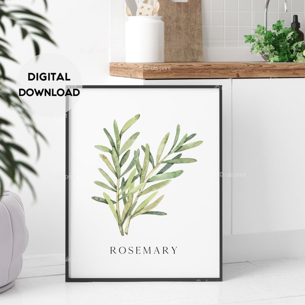 Rosemary Print, Herbs Print, Rosemary Watercolor illustration, Botanical Wall Art, Minimalist Green Leaves, Kitchen Poster, Digital Download