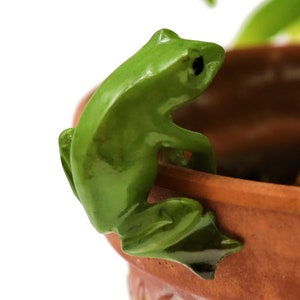 Green Frog Hugging Pot