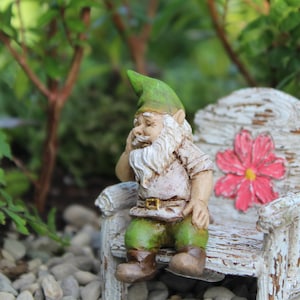 Iggy the Sitting Gnome - miniature Fairy Garden