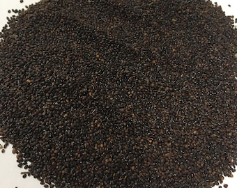 Nepeta cataria Catnip Seeds 1/4 oz