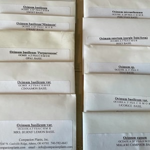 May include: A collection of 10 white envelopes with black text, each containing seeds for a different variety of basil. The envelopes are labeled with the variety name, scientific name, and common name. The envelopes are arranged in two rows of five.
