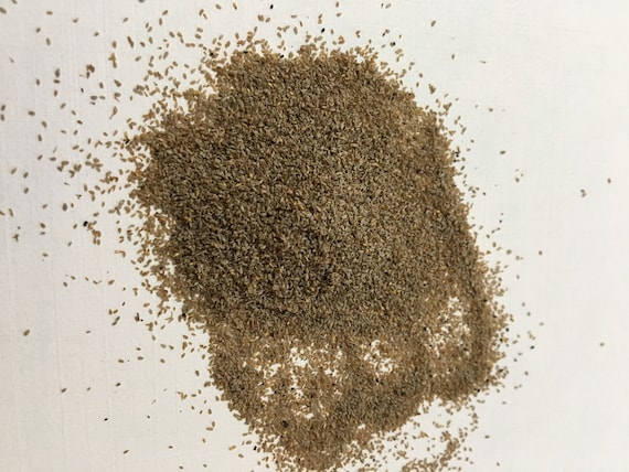 Hojas Y Ramas De Artemisa Annua O Ajenjo Dulce Que Crece Silvestre En Las Montañas Argentinas - Foto 10