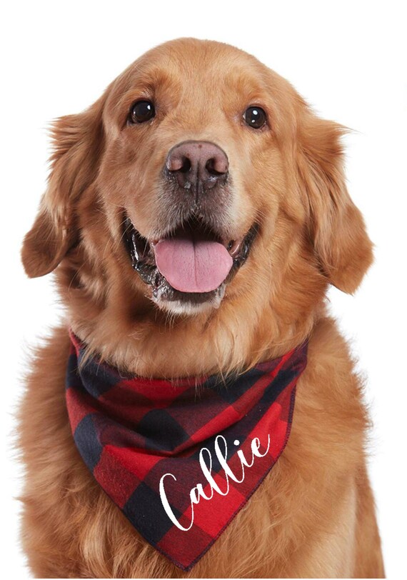dog bandana with name
