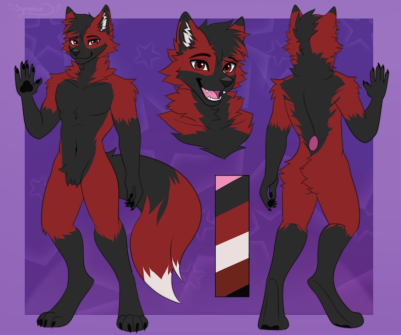 Hoja de referencia de la Comisión Furry Arte Fursona personalizado frontal y posterior imagen 7