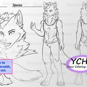 Male Fursona Ref Sheet: DIY Furry Art Coloring Page (PSD File) - Etsy