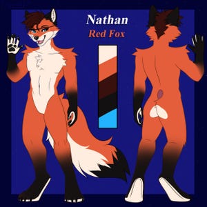 Hoja de referencia de la Comisión Furry Arte Fursona personalizado frontal y posterior imagen 15