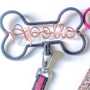 close up of A storm dog leash hook, with a the name Apollo in copper wire.