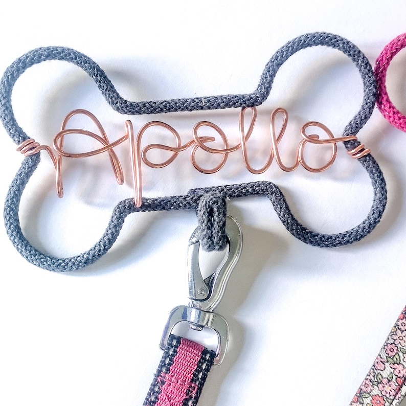 close up of A storm dog leash hook, with a the name Apollo in copper wire.